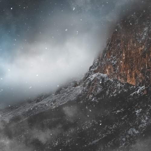 Photo #5899545