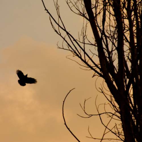 Photo #5899772
