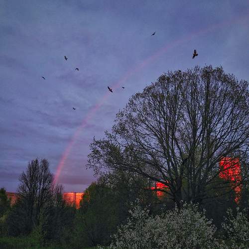 Photo #5899813