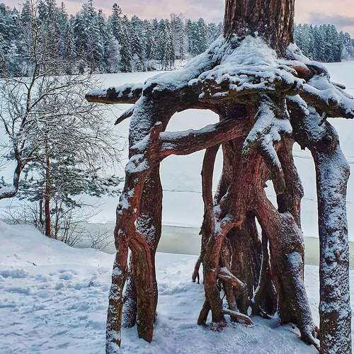 Photo #5899816