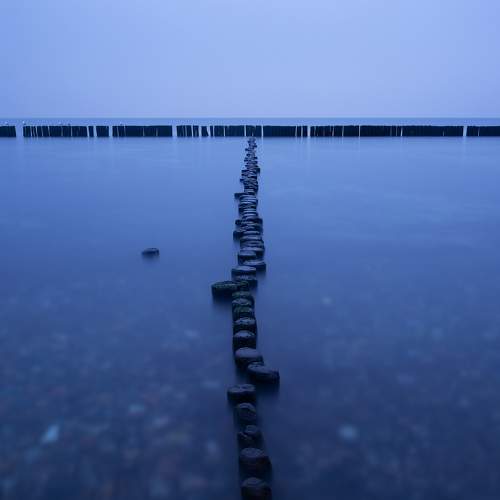 Photo #5900028