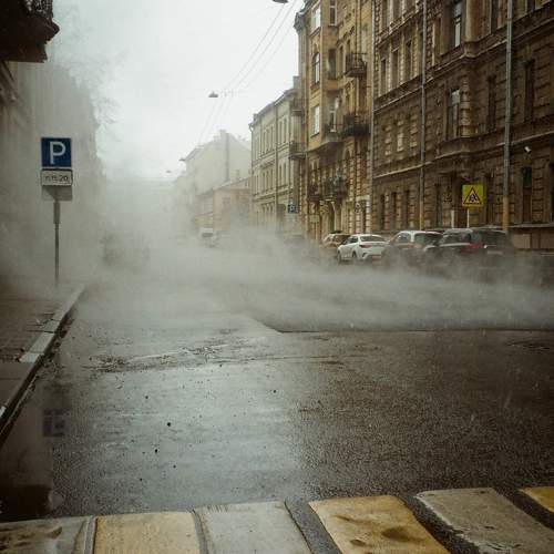 Photo #5900112