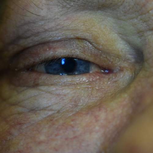 Photo #5900132