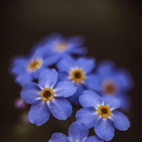 Photo #5900222