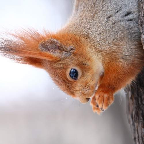 Photo #5900334