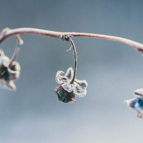 Photo #5900490