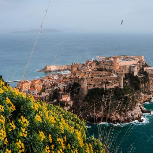 Photo #5900516