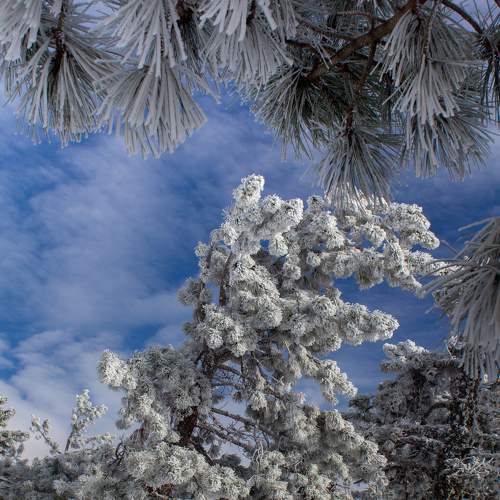 Photo #5900700