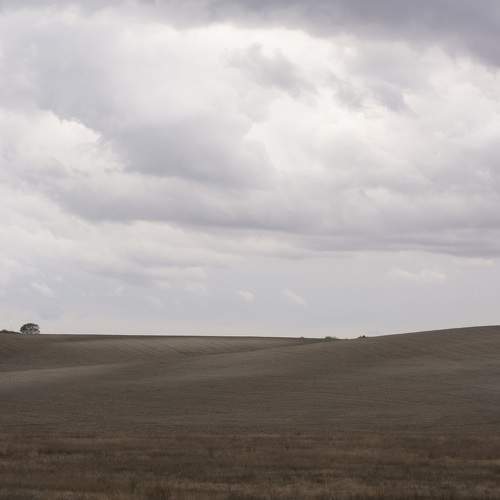 Photo #5900958