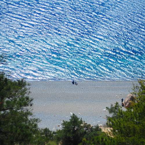 Photo #5901354