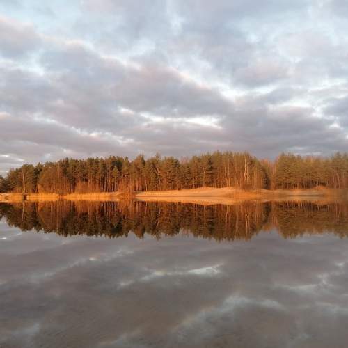 Photo #5901395