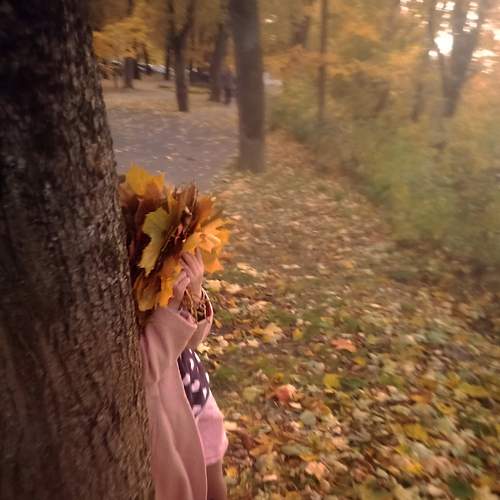 Photo #5901411