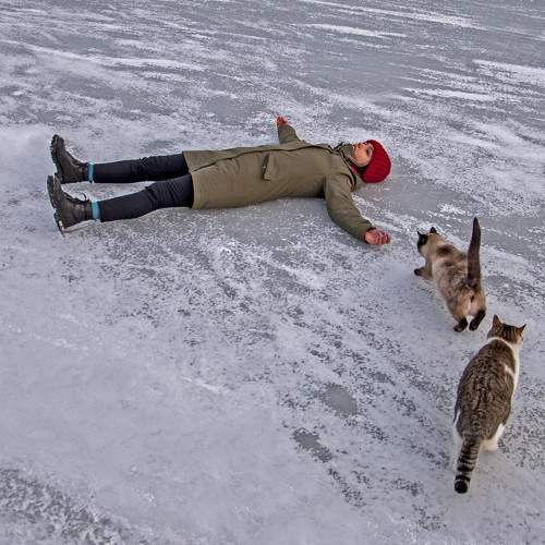 Photo #5901427