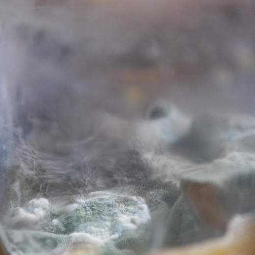 Photo #5901493