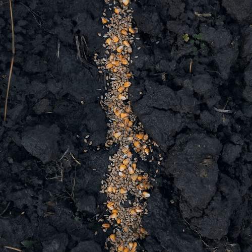 Photo #5901530