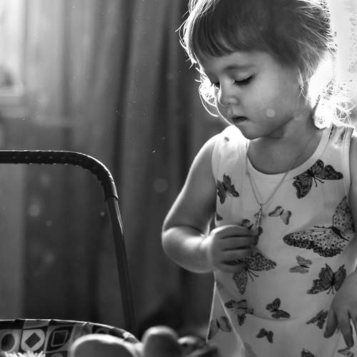 Photo #5901564