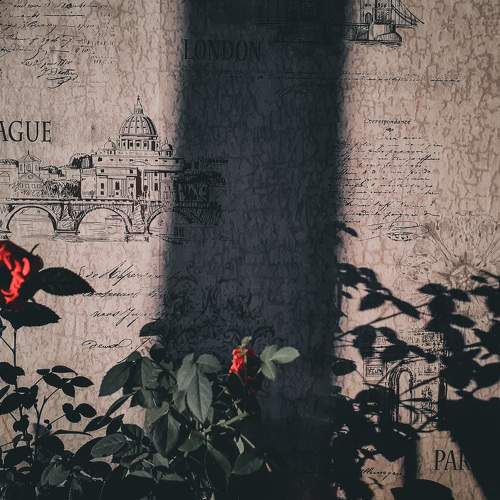 Photo #5901689