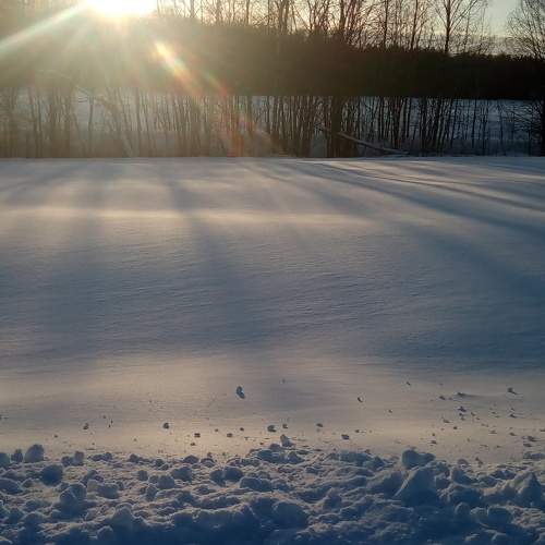 Photo #5901704