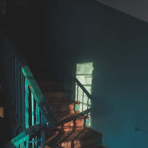 Photo #5901732