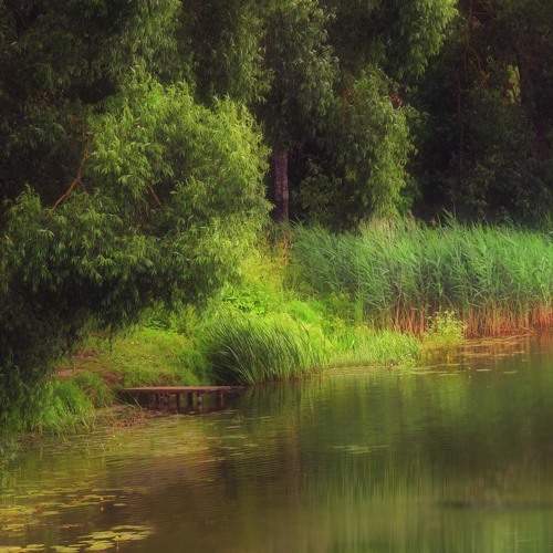 Photo #5901785