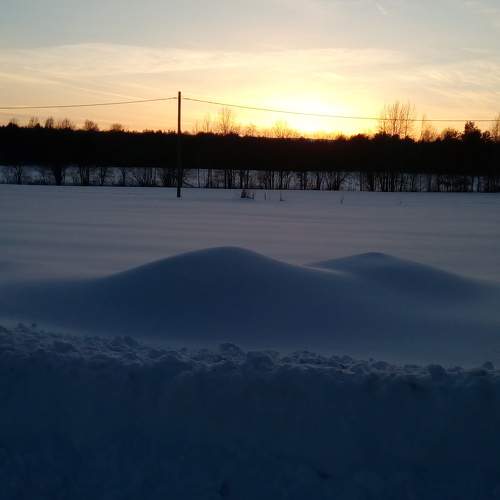 Photo #5901813