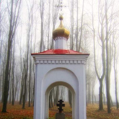 Photo #5902113
