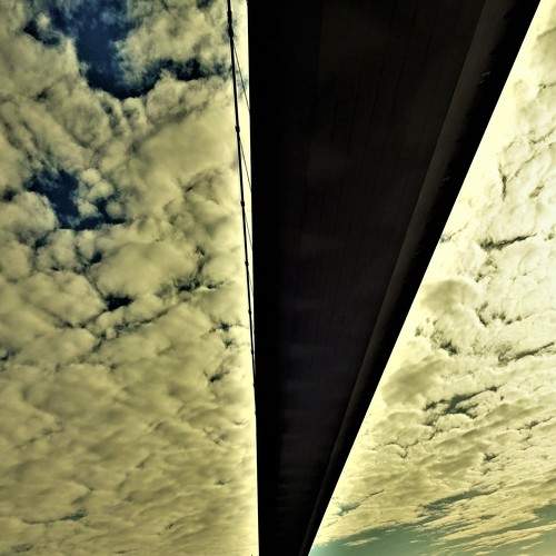 Photo #5902151