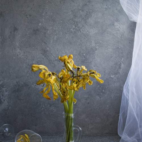 Photo #5902439
