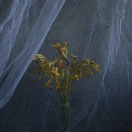 Photo #5902473
