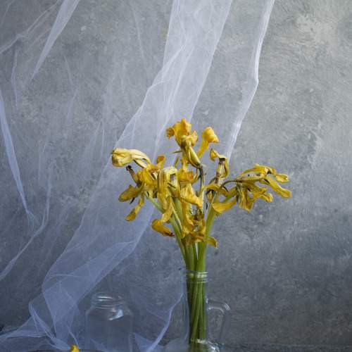 Photo #5902483