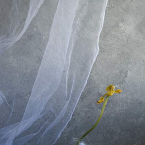 Photo #5902503