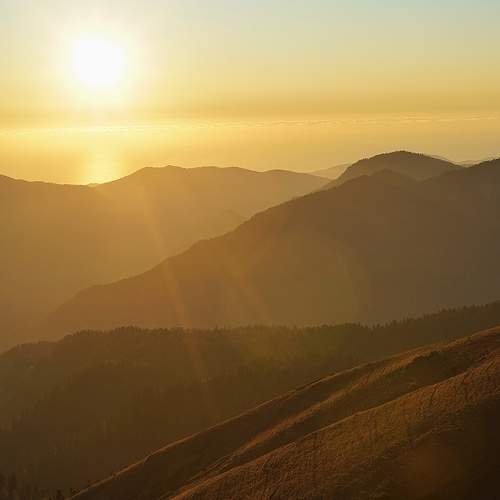Photo #5902539