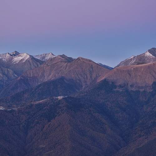Photo #5902566