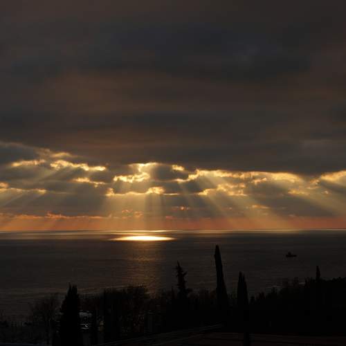 Photo #5902758