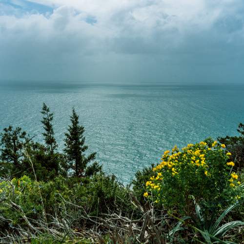 Photo #5902830