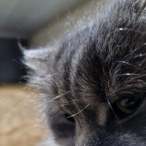 Photo #5902861