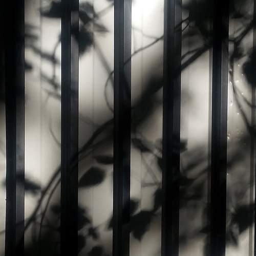 Photo #5902923