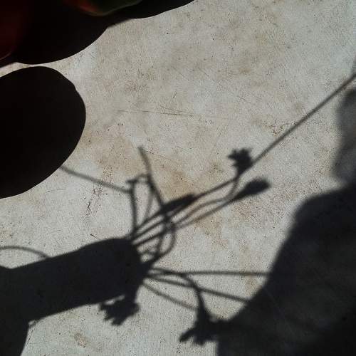 Photo #5902956