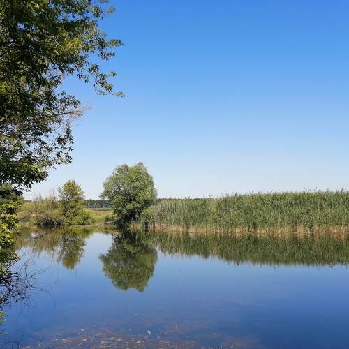 Photo #5902997