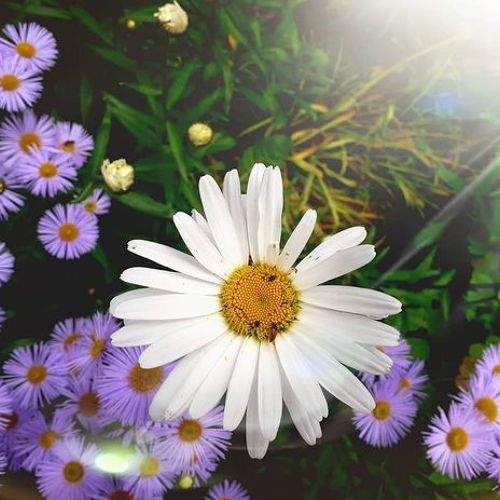 Photo #5903360