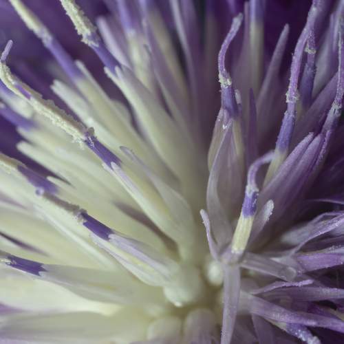 Photo #5903565