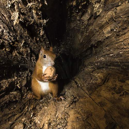 Photo #5903567