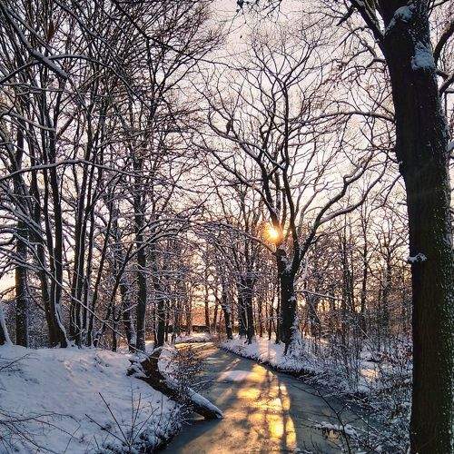 Photo #5903655