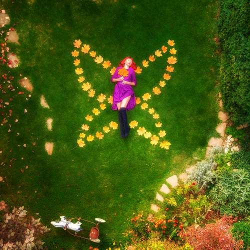 Photo #5903667