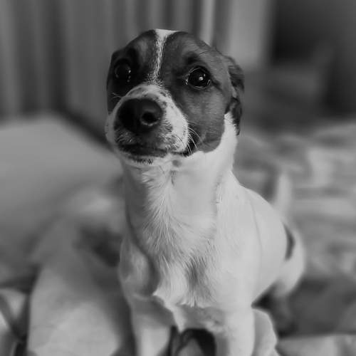 Photo #5904127
