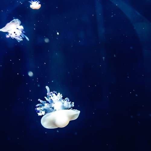 Photo #5904582