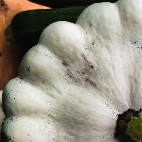 Photo #5904724