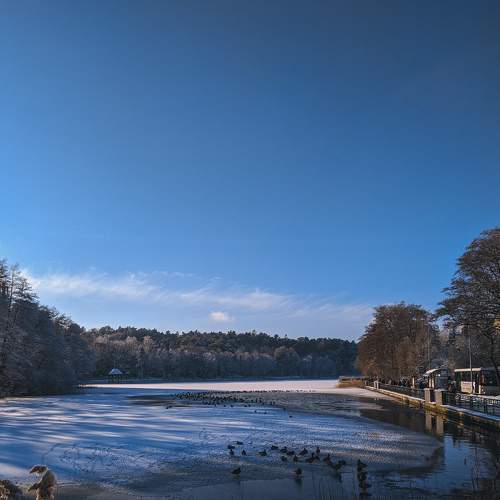Photo #5904933