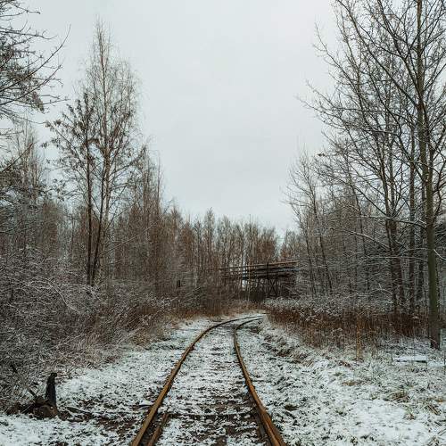 Photo #5904937