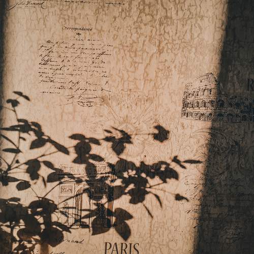 Photo #5905060